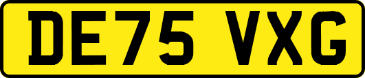DE75VXG