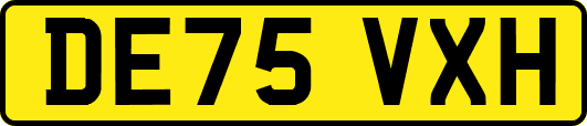 DE75VXH