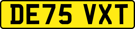 DE75VXT