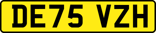 DE75VZH