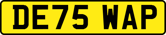 DE75WAP