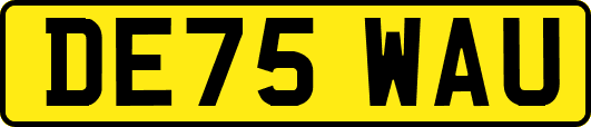 DE75WAU