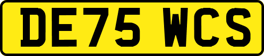 DE75WCS