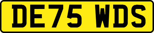 DE75WDS