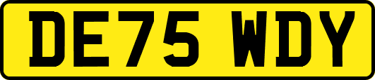 DE75WDY