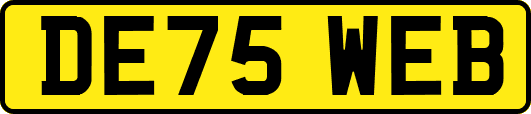 DE75WEB