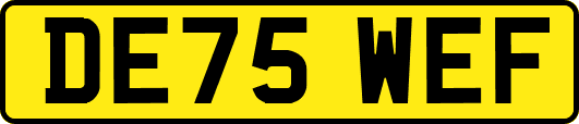 DE75WEF