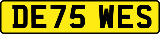 DE75WES