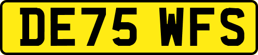 DE75WFS
