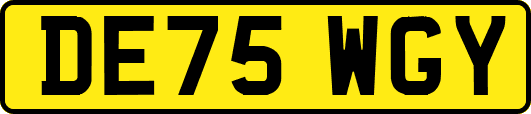 DE75WGY
