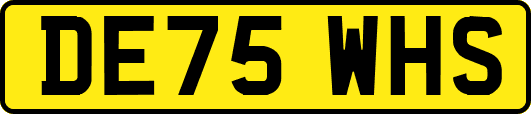 DE75WHS