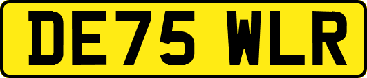 DE75WLR