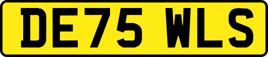 DE75WLS