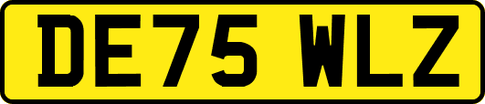 DE75WLZ