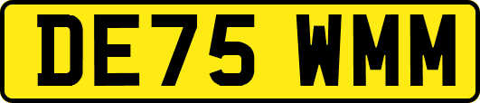 DE75WMM