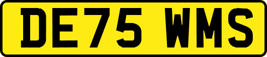 DE75WMS