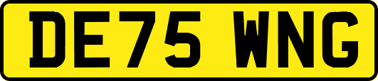 DE75WNG
