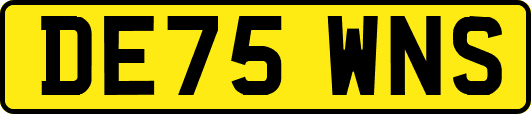 DE75WNS