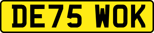 DE75WOK