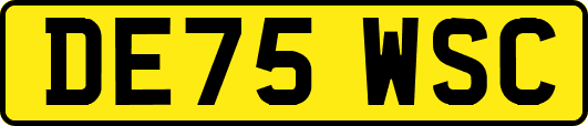 DE75WSC