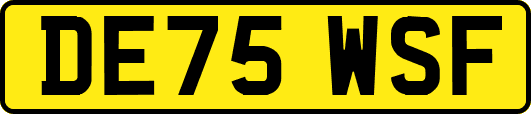 DE75WSF