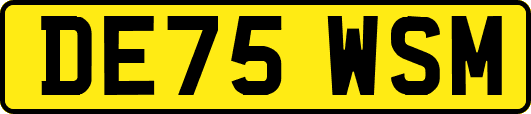 DE75WSM