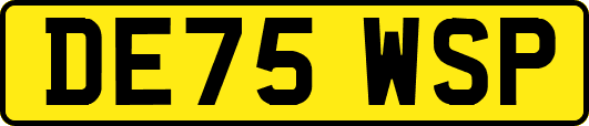 DE75WSP
