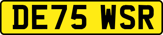 DE75WSR