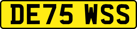 DE75WSS