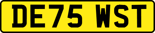 DE75WST