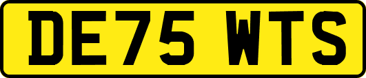 DE75WTS