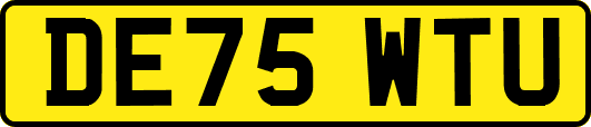 DE75WTU
