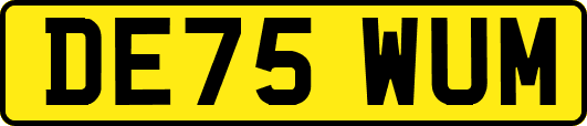 DE75WUM