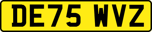 DE75WVZ