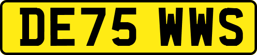 DE75WWS