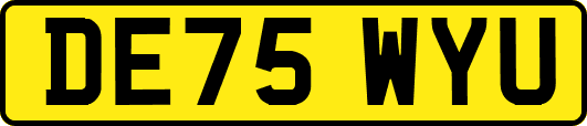 DE75WYU
