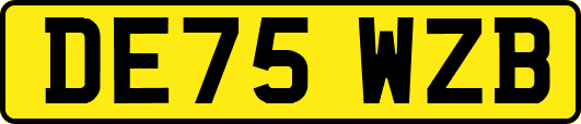 DE75WZB