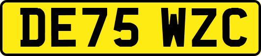 DE75WZC