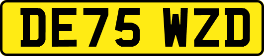 DE75WZD