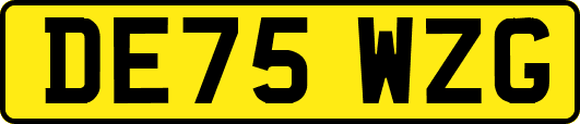 DE75WZG
