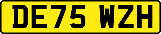 DE75WZH