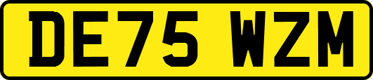 DE75WZM