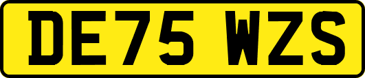 DE75WZS