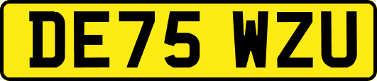DE75WZU