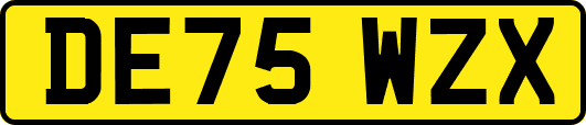 DE75WZX