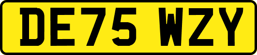 DE75WZY
