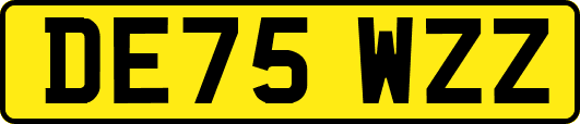 DE75WZZ