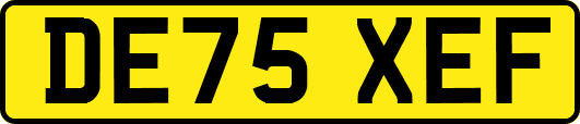 DE75XEF