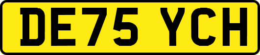 DE75YCH