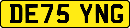 DE75YNG